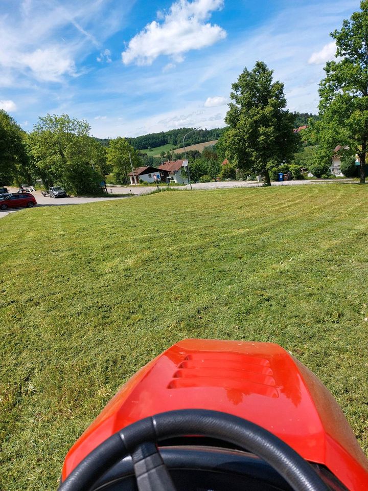 Ich übernehme Mäharbeiten in Falkenstein