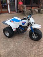 Honda ATC 250 sx, Strassenzulassung, Tausch oder Inzahlungnahme Schleswig-Holstein - Bad Oldesloe Vorschau