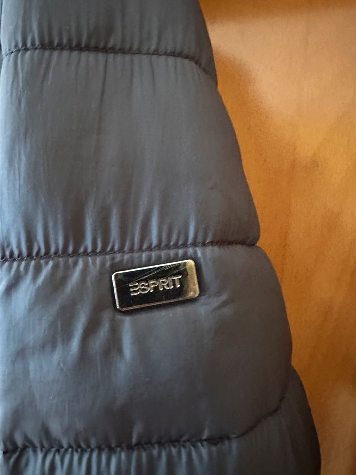 Steppjacke Esprit XXL in Gößnitz