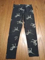 Jungen Leggings Gr. 122 Dino Nordrhein-Westfalen - Siegen Vorschau