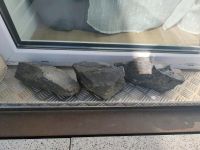 Aquarium Steine jeweils 2 bis 4 kg Brandenburg - Blankenfelde-Mahlow Vorschau