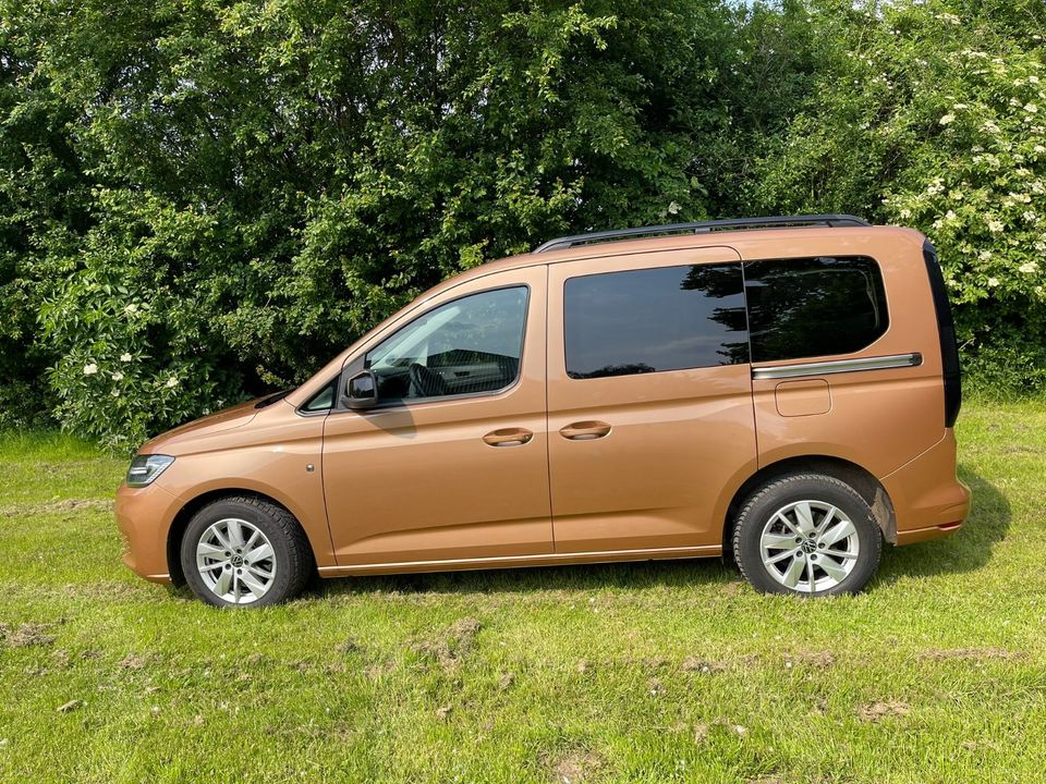 VW Caddy California 2.0TDI Küche,Klima,Pano,AppleCarPlay,Standh. in Meerbusch