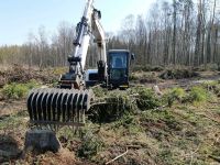 Flächenräumung Reisig räumen Schlagräumung Pflanzung Chemnitz - Euba Vorschau