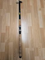 Moritz Tele Mirage 60 Länge 4,5 M 30-60 G Teleskopangel Angel Hessen - Riedstadt Vorschau