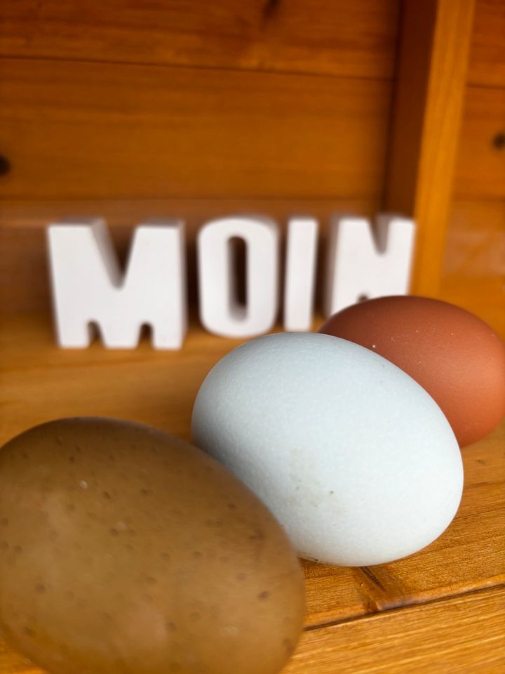 Frische Eier - Eierverkauf in Leezdorf