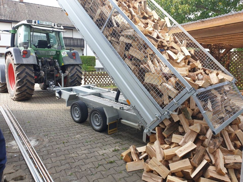 Buche - Hartholz - Brennholz ofenfertig 33cm in Ellwangen (Jagst)