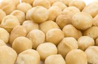 Macadamianüsse Macadamia Kerne Geschält Natur roh unbehandelt 1KG Berlin - Wilmersdorf Vorschau