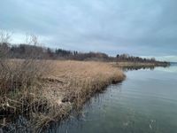 Rarität für Naturliebhaber! Grundstück mit ca. 14.500 m² mit direktem Zugang in den Pilsensee Bayern - Seefeld Vorschau