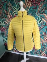 Leichtsteppjacke von Garcia Gr. L „1xgetragen“ Essen - Bergerhausen Vorschau