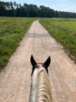 Reitbeteiligung Westernreiten Bayern - Erlangen Vorschau