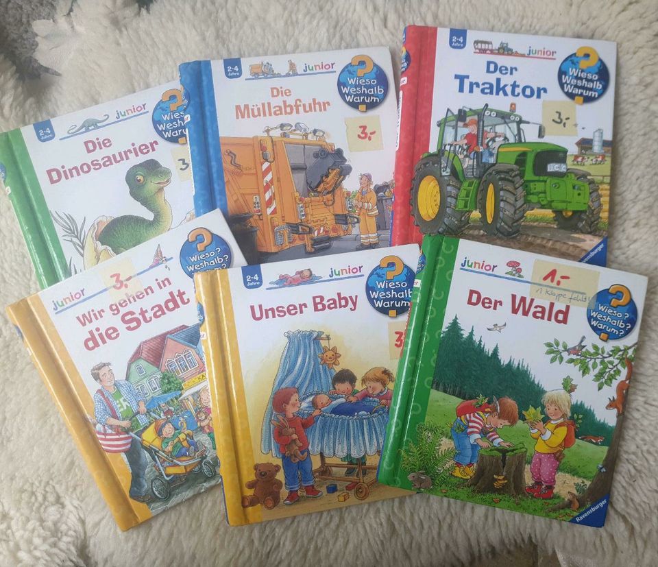 Wieso weshalb warum/Dino Traktor Stadt Müllabfuhr Baby in Büdelsdorf