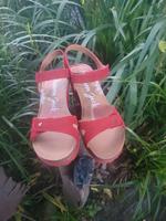Sandalen Panama Jack rot Gr.40 Niedersachsen - Wiefelstede Vorschau