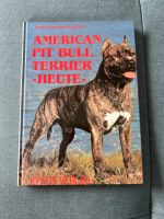 American Pit Bull Terrier -Heute- Baden-Württemberg - Leimen Vorschau
