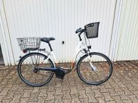 Hercules Premium Damenrad Cityrad 28 Zoll, 48 cm RH Nordrhein-Westfalen - Korschenbroich Vorschau