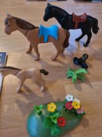 PLAYMOBIL SET 3114 Pferd mit Fohlen gebr. ohne OVP Bayern - Goldbach Vorschau