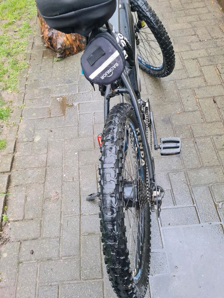 Rex E Bike Mountainbike tadellosen Zustand ! in Bergkamen
