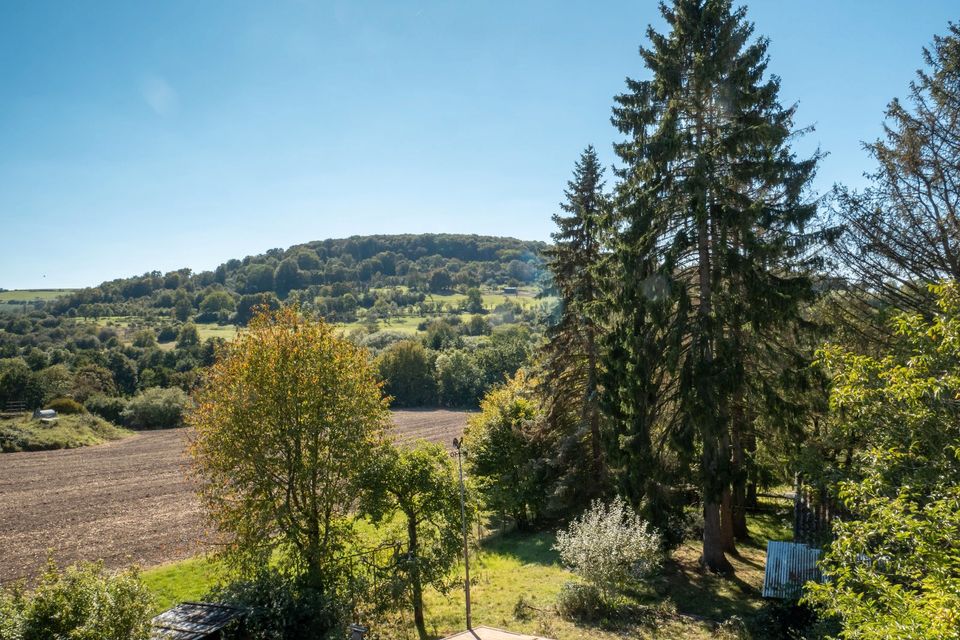 Haus in Alleinlage mit riesigem Traum-Grundstück in Gersheim