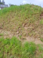 100 % sauberer Mutterboden zum Verschenken Bonn - Niederholtorf Vorschau