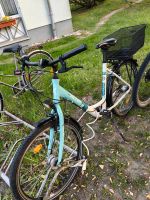 Damen Fahrrad 26'' FALTER (GR. M) Brandenburg - Zeuthen Vorschau