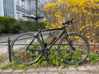 Drössinger Singlespeed Speedbike Carbongabel RH49 Berlin - Schöneberg Vorschau