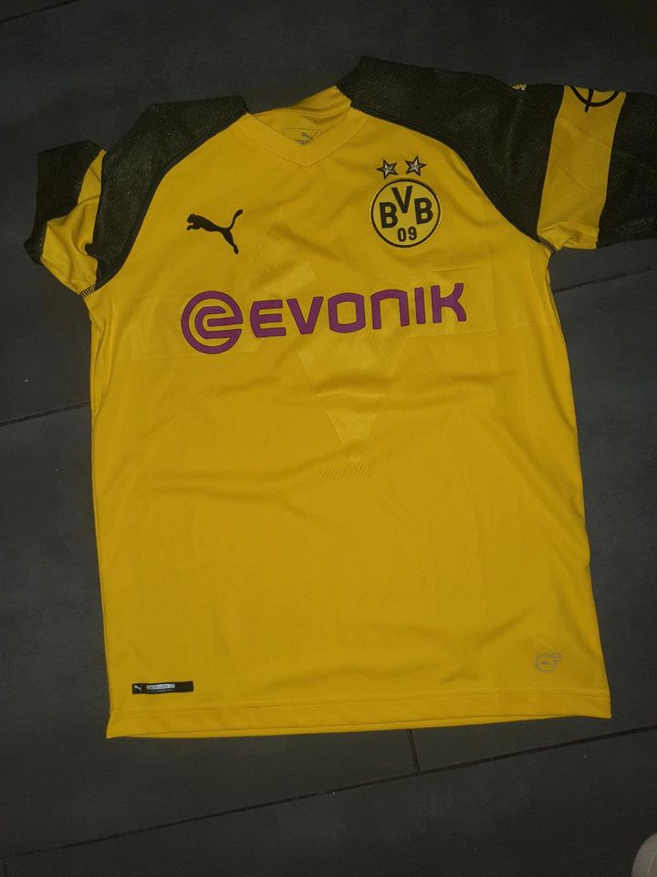 Puma BVB trikot shorts set 164 in Erlangen