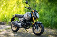 Honda MSX 125 Grom B196 Motorrad Pitbike Neu 2023 Baden-Württemberg - Lörrach Vorschau
