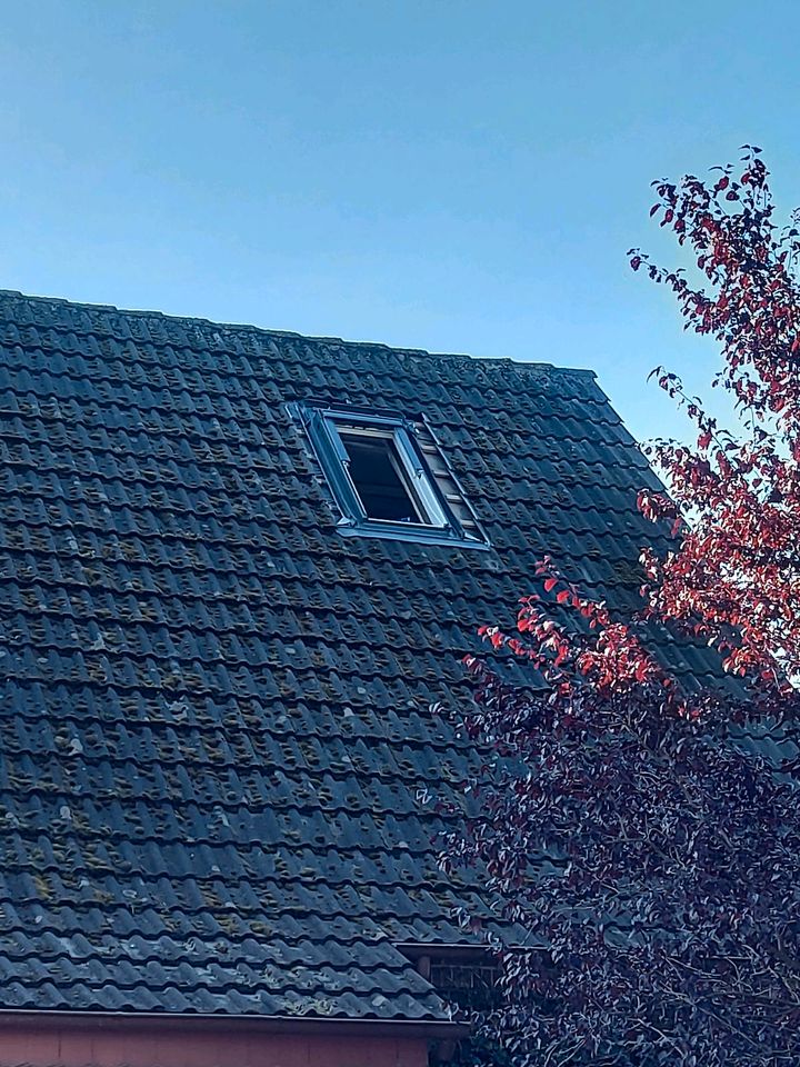 Dachfenster (Velux/Fakro) Sanierungsarbeiten/ Trockenbau in Friedeburg