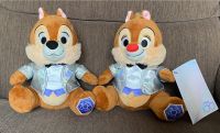 Disney 100 Jahre Chip & Chap Kuscheltier Plüscheltier *NEU* Nordrhein-Westfalen - Paderborn Vorschau