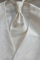Hochzeitsweste Digel Weste Lambert 98 Plastron Loy Einstecktuch Brandenburg - Neuenhagen Vorschau