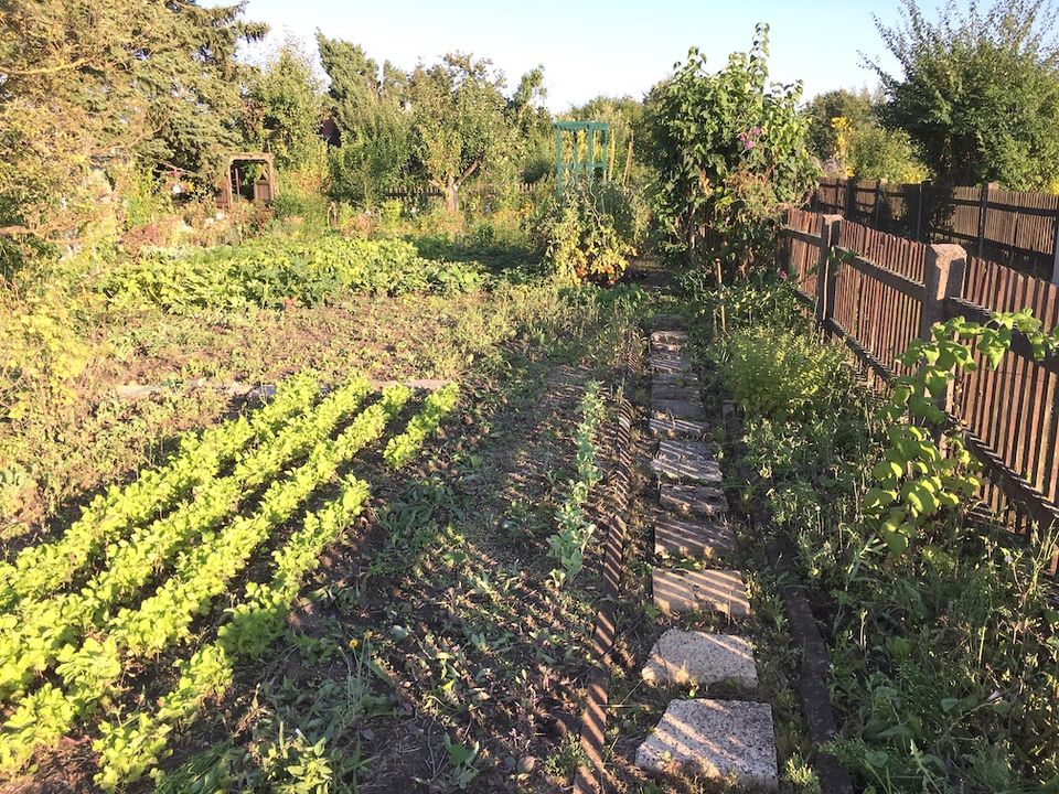 Schöner Pachtgarten in Erfurter Norden in Stotternheim