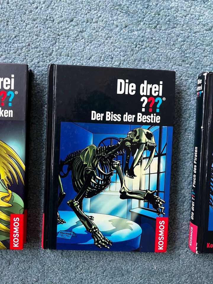 5 Drei ??? Bücher in Landau in der Pfalz