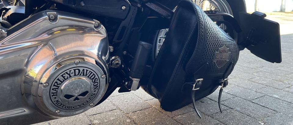 Harley-Davidson Softail Standard / Dr. Jekill & Mr. Hyde Anlage in Büdelsdorf