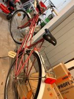 Fahrrad zu verkaufen Rheinland-Pfalz - Birkenfeld Vorschau