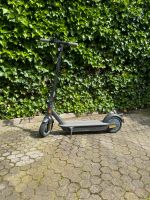 Segway G30D MAX KickScooter | E-Roller Baden-Württemberg - Sinzheim Vorschau