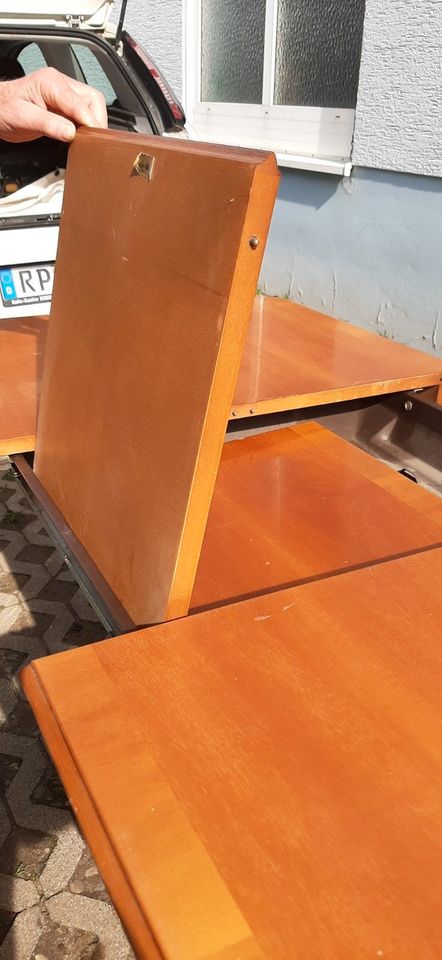 Esszimmer Tisch, messing Löwenfüße, ausziehbar, aus Holz in Römerberg