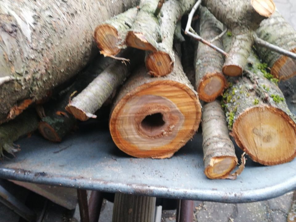 Holz - Räucherholz / Kirsche trockenes Obstholz auch Wallnuss in Wittenberge