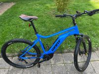 E- Bike Giant Sachsen - Leisnig Vorschau