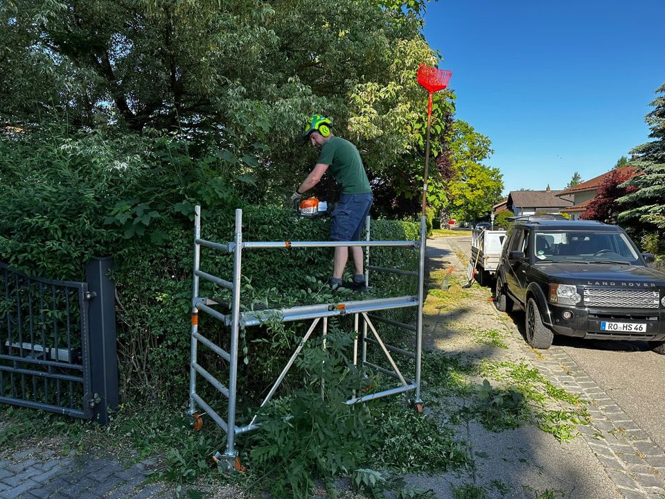 Gartenpflege, Rasen mähen und Hecke schneiden. in Rosenheim