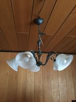 Deckenlampe Deckenleuchter Baden-Württemberg - Waghäusel Vorschau