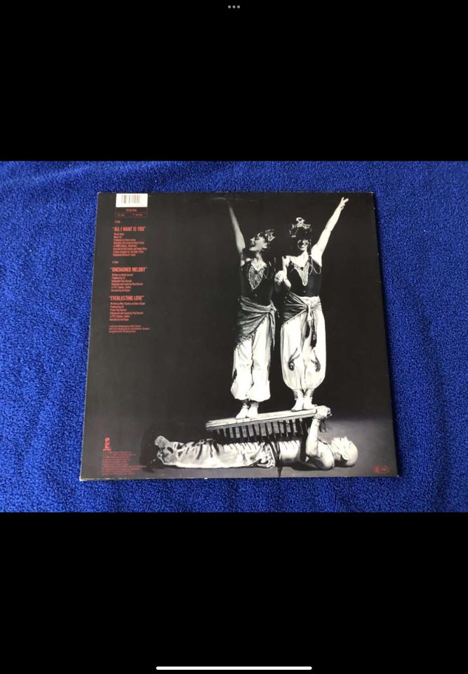 U2 Maxi Single Vinyl Schallplatte 12" All I Want Is You in München