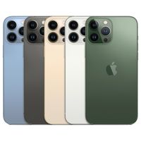 iPhone 13 Pro ab 589,89 € – 1 Jahr Gewährleistung bei Refurbiestore  Niedersachsen - Bardowick Vorschau