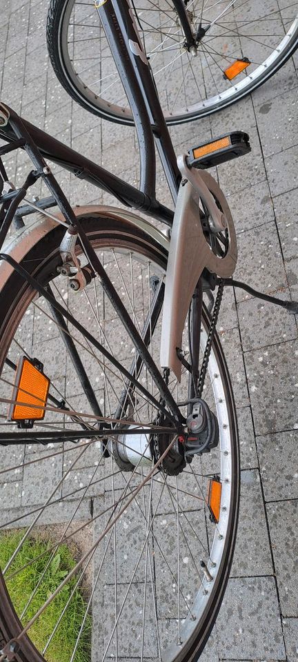 Damenfahrrad 28 Zoll Enik Kneipenrad Citytad in Hagen am Teutoburger Wald