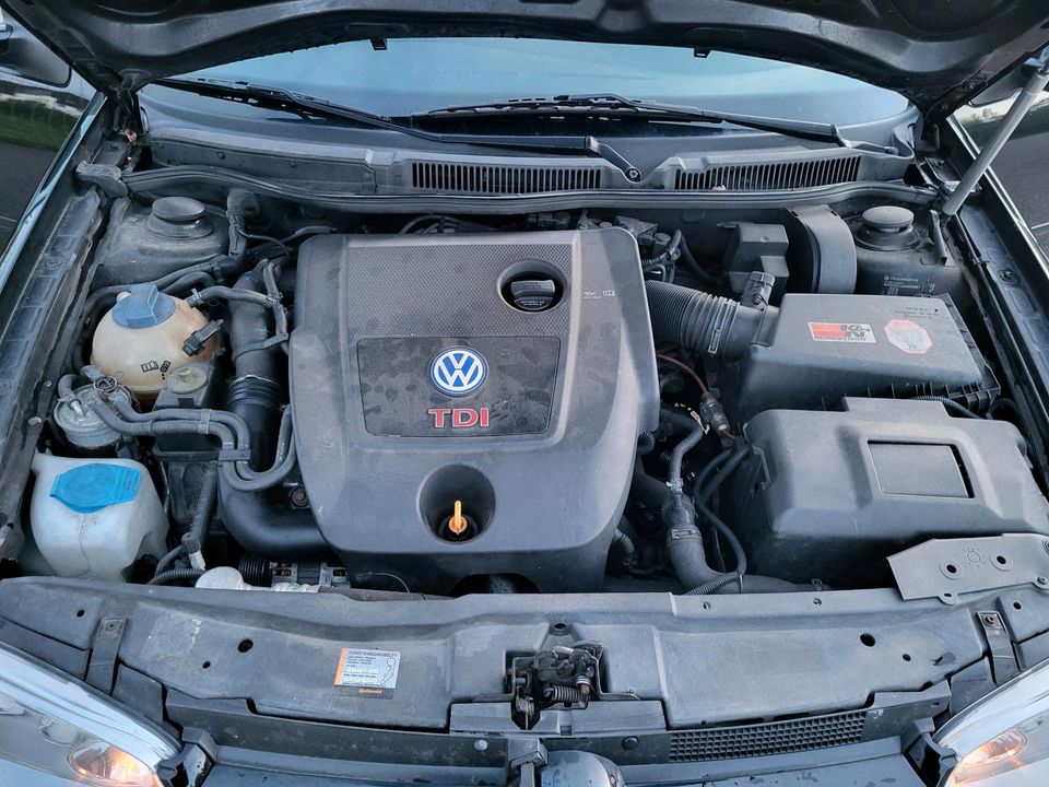 Volkswagen Golf 4 1,9TDI 150 PS in Emmendingen