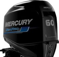 MERCURY Außenbordmotor F60 ELPT Sea Pro *NEU* 20% Rabatt Baden-Württemberg - Bodman-Ludwigshafen Vorschau