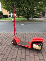 GoPed Motorroller rot Nordrhein-Westfalen - Bergheim Vorschau