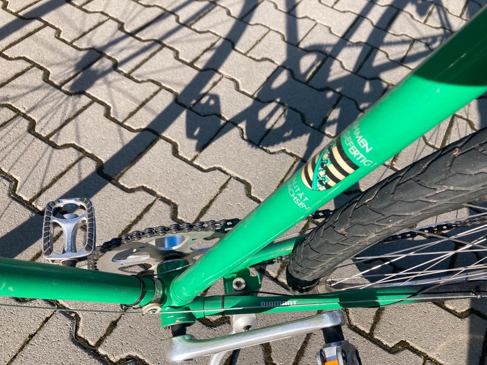 Halbrenner Fahrrad Rennrad Diamant Beryll 54cm Nabenschaltung in Pohlheim