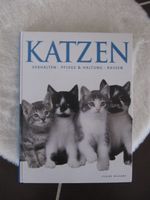 Katzen Buch Nachschlagewerk von Claire Bessant - Topzustand Bayern - Furth im Wald Vorschau