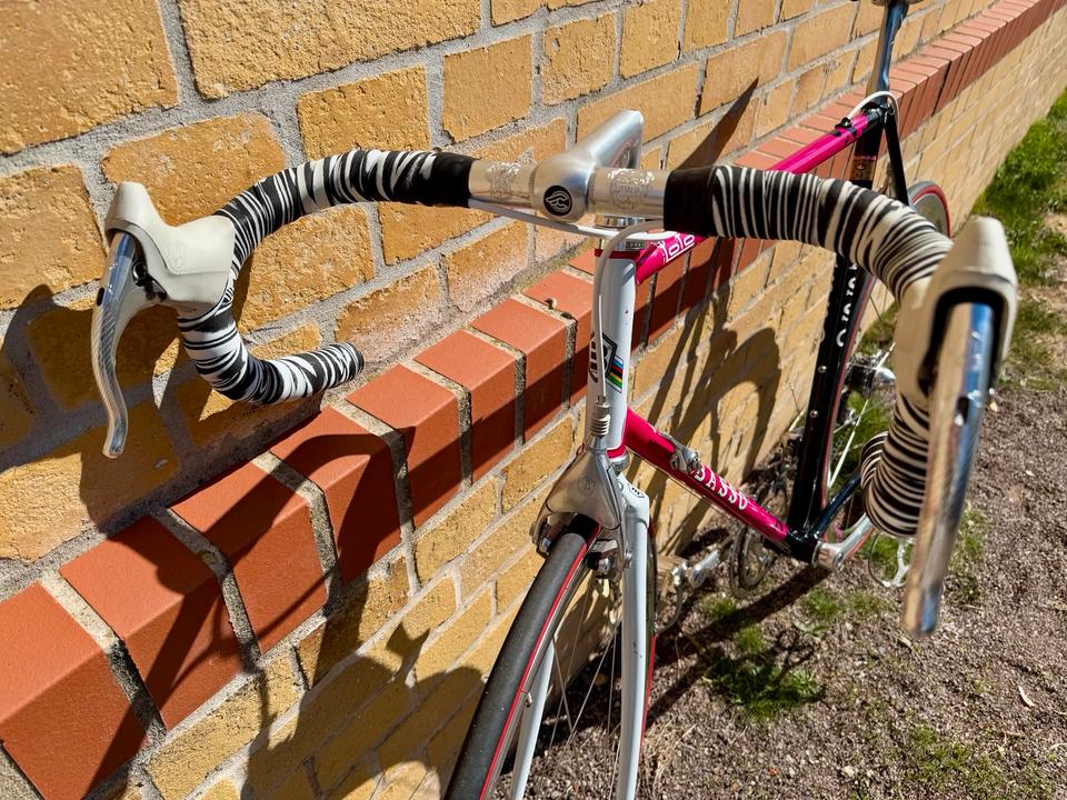 Basso Fior di Loto Rennrad mit Campagnolo Croce D‘Aune Shamal in Leipzig