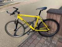 mountainbike Brügelmann BT 807 26 Zoll Rheinland-Pfalz - Brücken (Pfalz) Vorschau