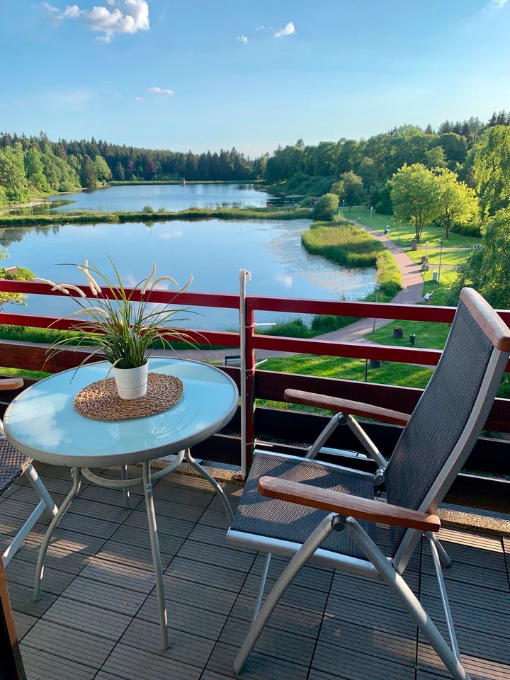 Ferienwohnung SEEBLICK direkt am Bocksberg in Hahnenklee - Harz in Burgdorf